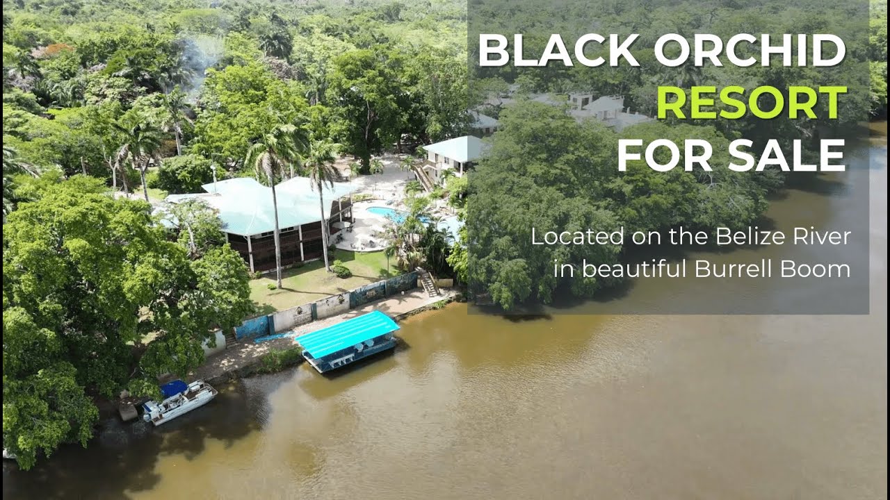 Black Orchid Resort For Sale in Belize